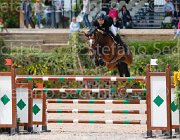 FORMENTINI WIN CHIN CampITA2013- S5 0427 : Campionati Italiani 2013, Cattolica, FORMENTINI FEDERICO, Horse Riviera Resort, WIN CHIN, foto di Stefano Secchi ©